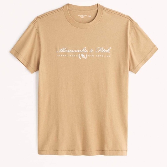 Abercrombie & Fitch Other - Abercrombie and Fitch Logo Tee size XXL NWT